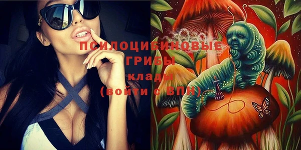 прущая мука Новодвинск