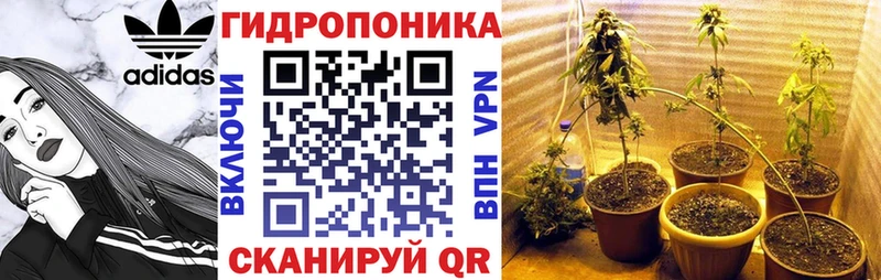 как найти закладки  Струнино  это формула  Конопля семена 